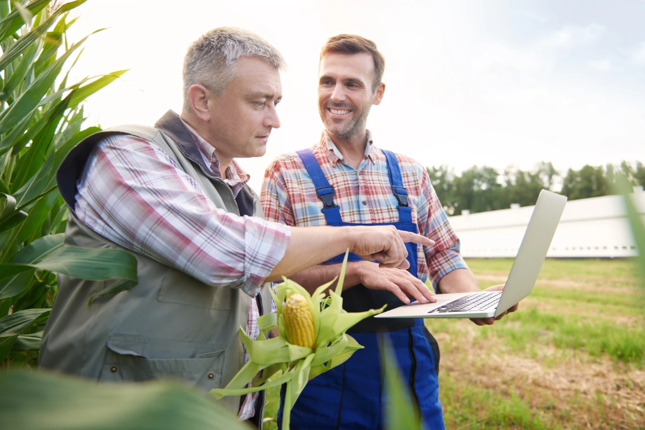 Mysoft e-Müstahsil Makbuzu